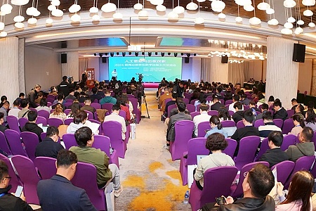 市场回调不必慌：资深投资人的实战观察与应对策略