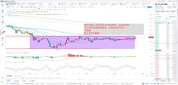 《星灵神兽》公测倒计时：一场别开生面的元宇宙冒险即将启航