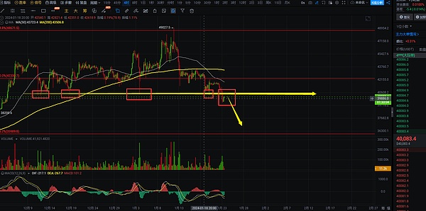 NFT江湖风云录：从加密朋克到蛙类之争的深层思考